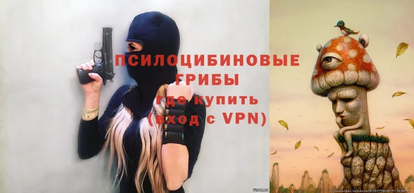 шишки Абдулино