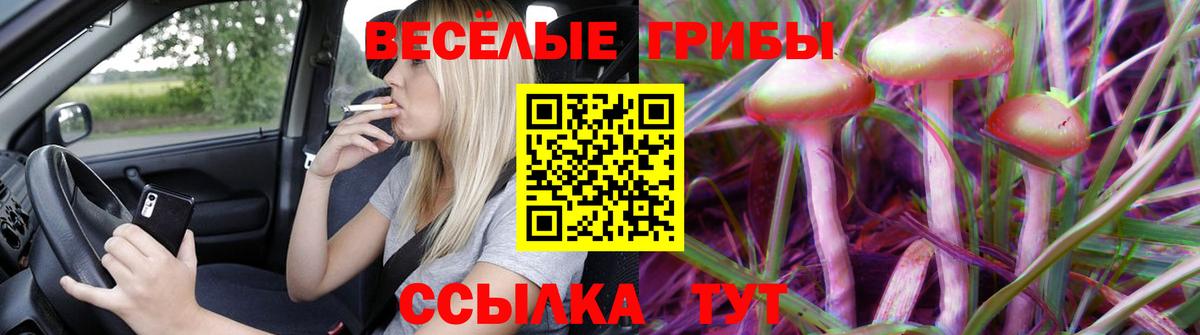 Псилоцибиновые грибы мицелий Морозовск
