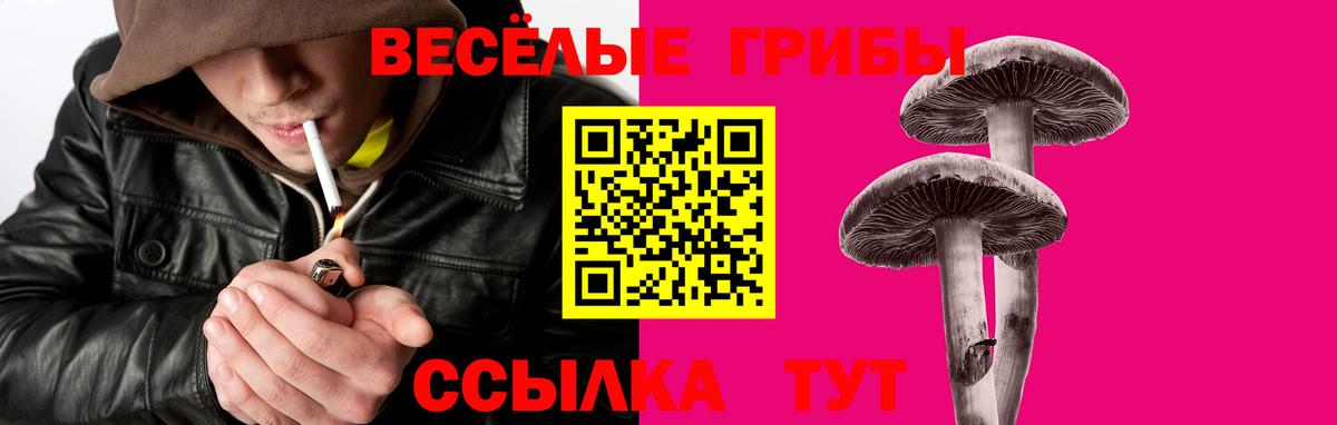 Морозовск  Псилоцибиновые грибы мицелий  Вход с VPN 